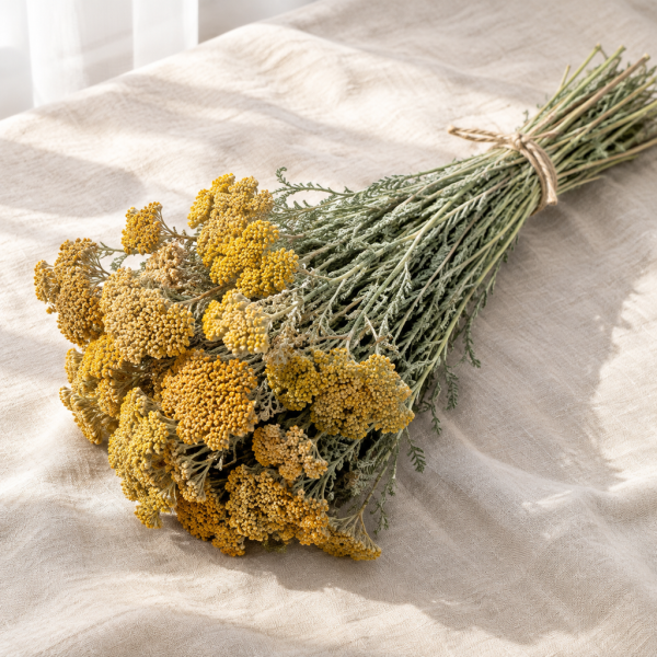 Dried Yarrow